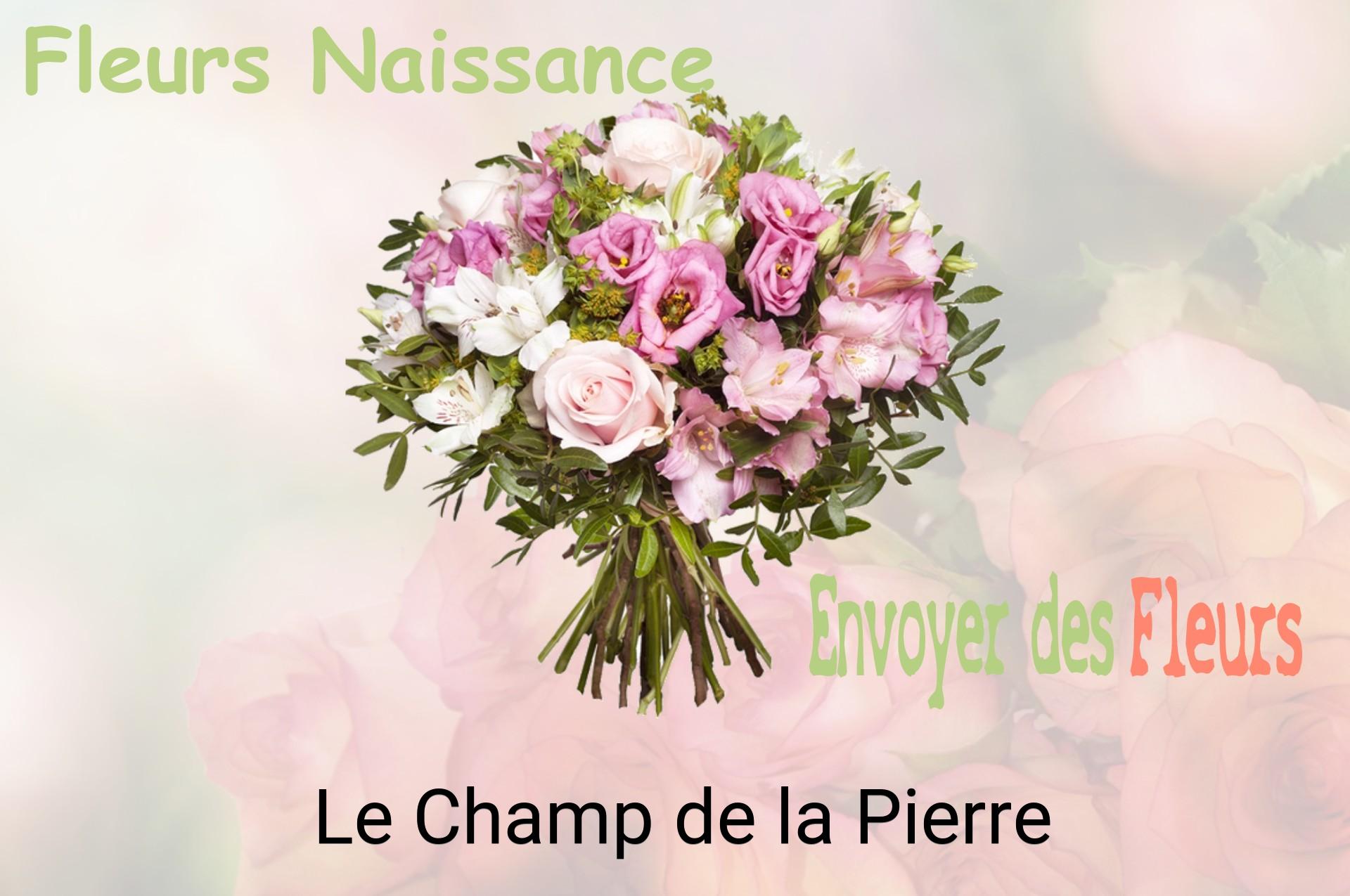 Bouquet de fleurs de naissance livré à Le Champ-de-la-Pierre
